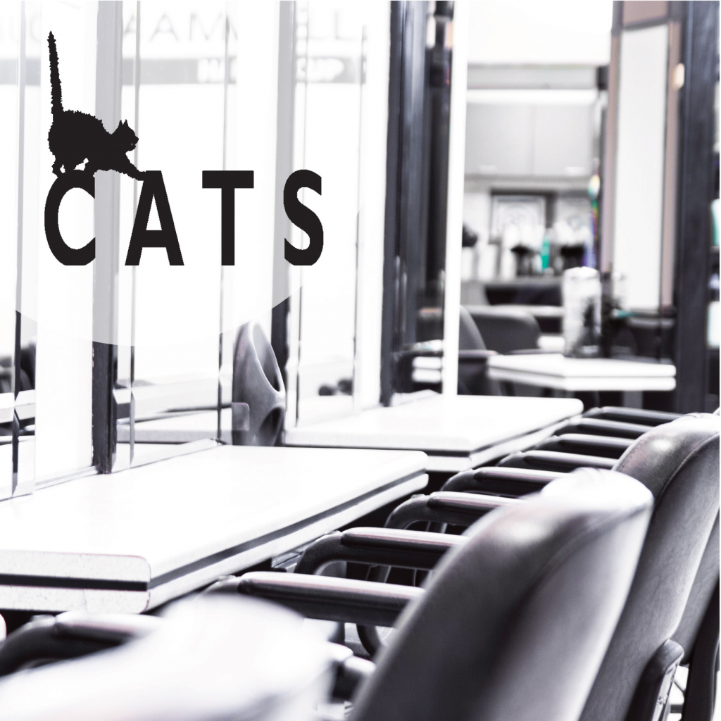 Cats Hair Studio