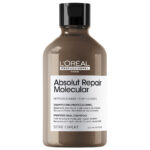 Absolut Repair Molecular Repair Shampoo 300ml
