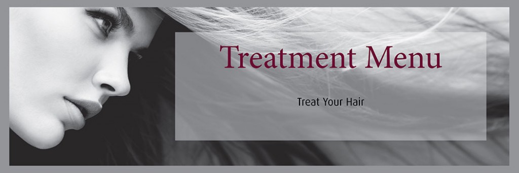 treatments menu at hugh campbell