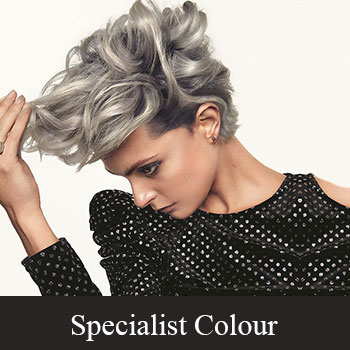 Our Colour Services