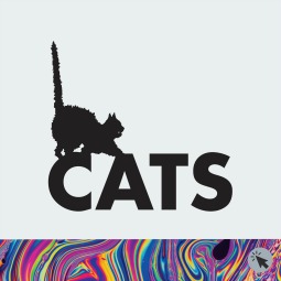 Cats Cats