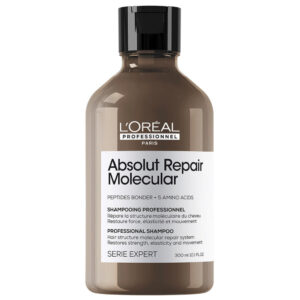Absolut Repair Molecular Repair Shampoo 300ml